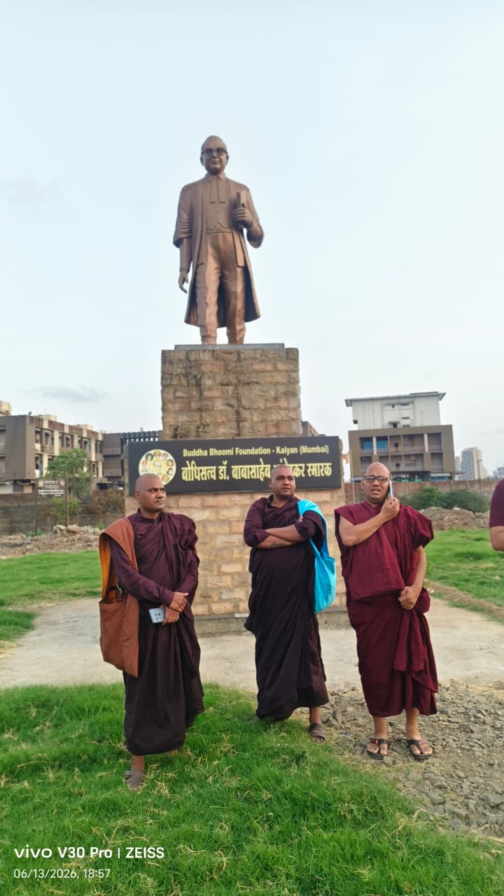 Seva Activity